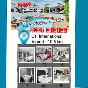 The Model House